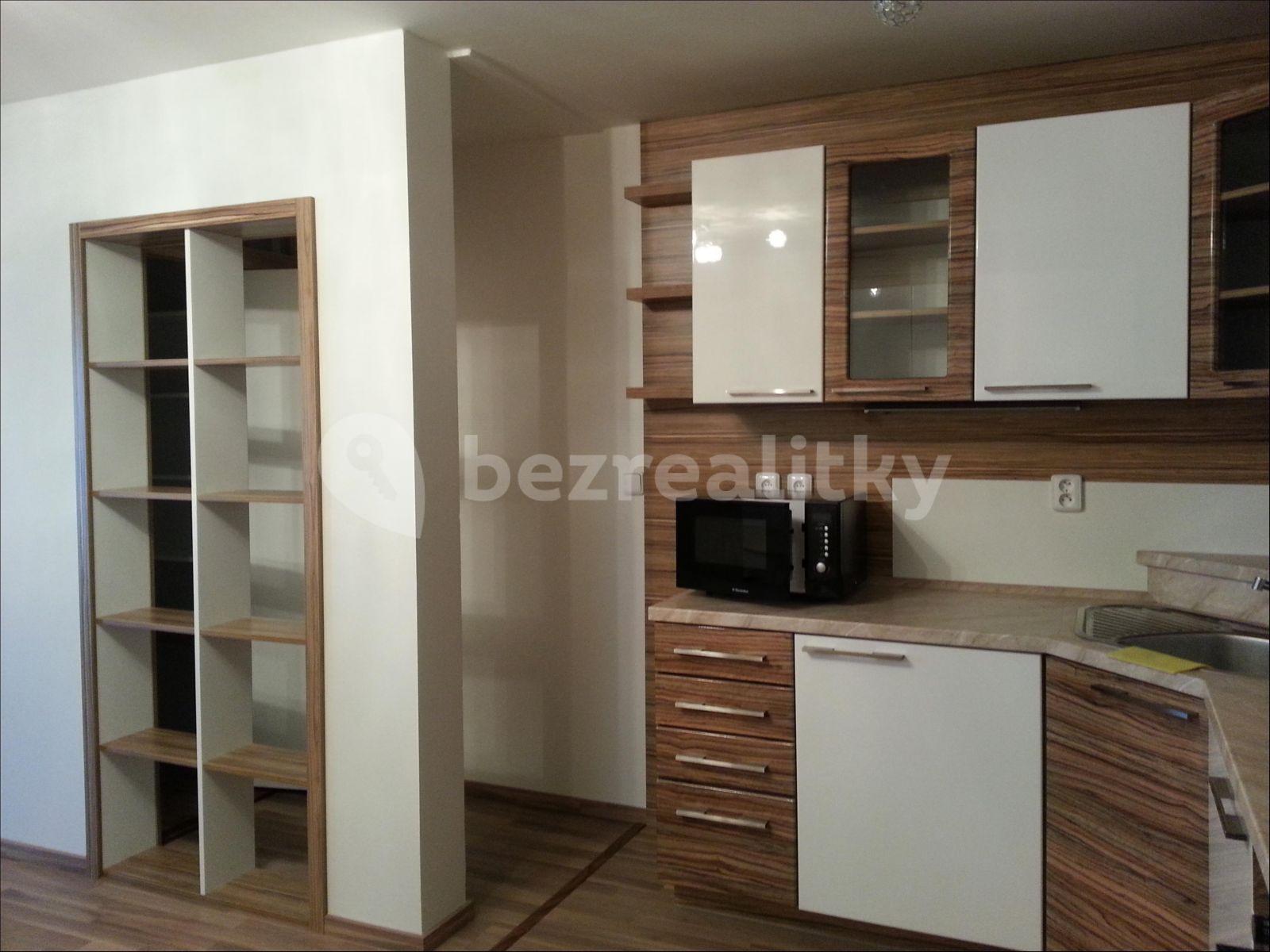 1 bedroom with open-plan kitchen flat to rent, 58 m², Radomská, Prague, Prague