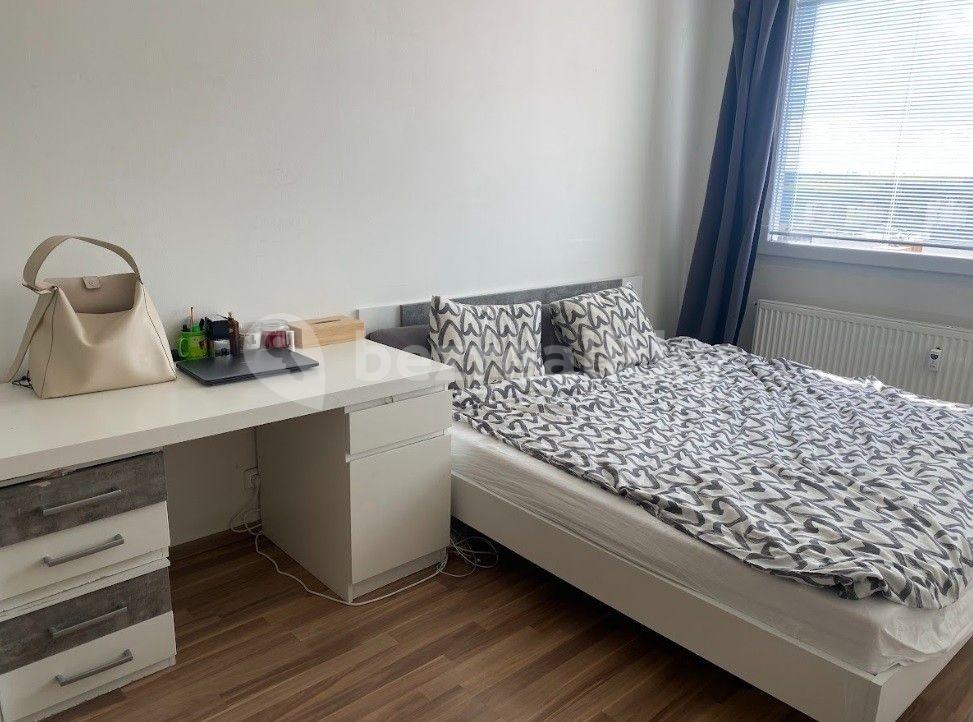 1 bedroom with open-plan kitchen flat to rent, 58 m², Radomská, Prague, Prague