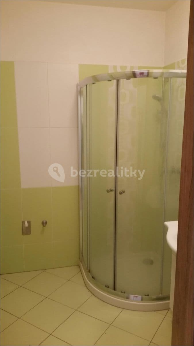1 bedroom with open-plan kitchen flat to rent, 53 m², Přírodní, Brno, Jihomoravský Region 1 bedroom with open-plan kitchen flat to rent, 53 m², Přírodní, Brno, Jihomoravský Region