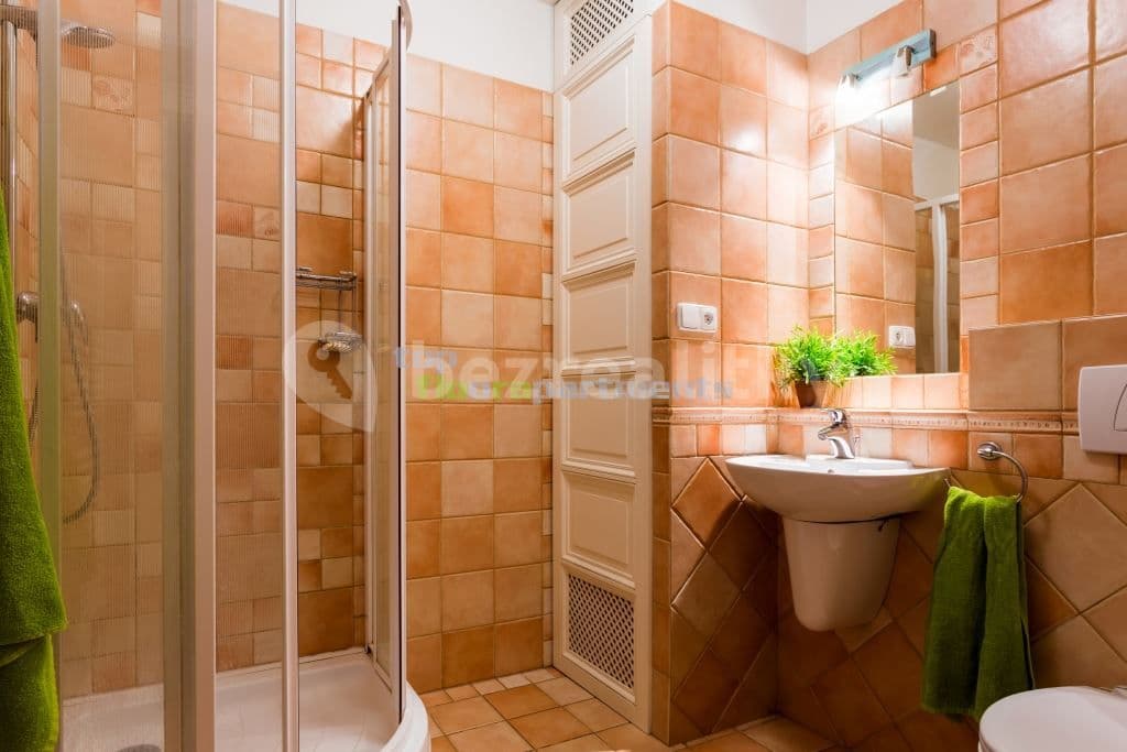 4 bedroom with open-plan kitchen flat to rent, 240 m², Přemyslovská, Prague, Prague 4 bedroom with open-plan kitchen flat to rent, 240 m², Přemyslovská, Prague, Prague