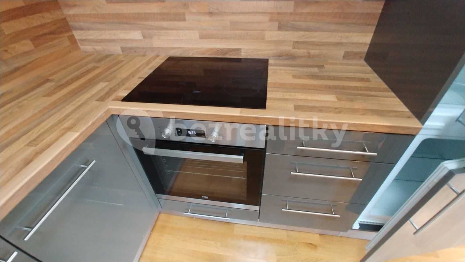 1 bedroom with open-plan kitchen flat to rent, 54 m², Učňovská, Prague, Prague 1 bedroom with open-plan kitchen flat to rent, 54 m², Učňovská, Prague, Prague