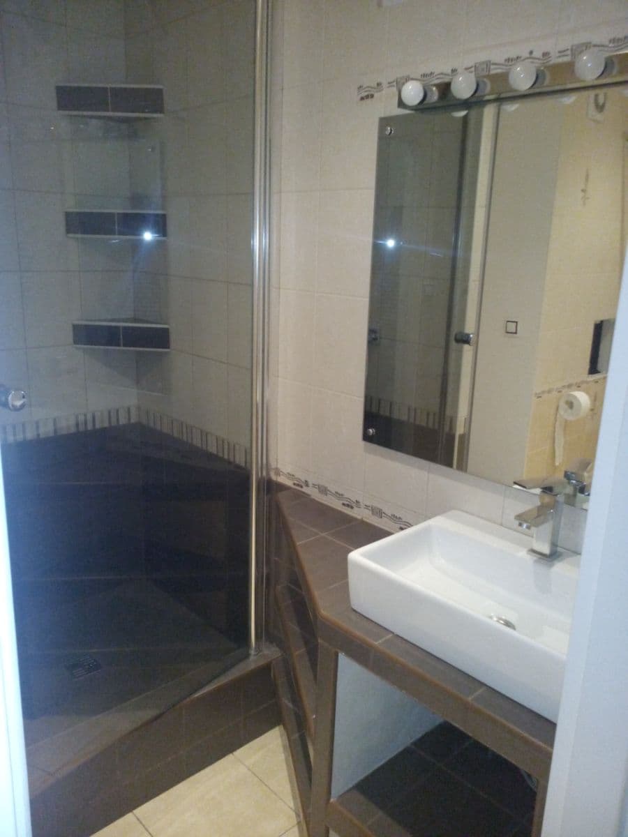 1 bedroom with open-plan kitchen flat to rent, 43 m², Pohnertova, Prague, Prague 1 bedroom with open-plan kitchen flat to rent, 43 m², Pohnertova, Prague, Prague