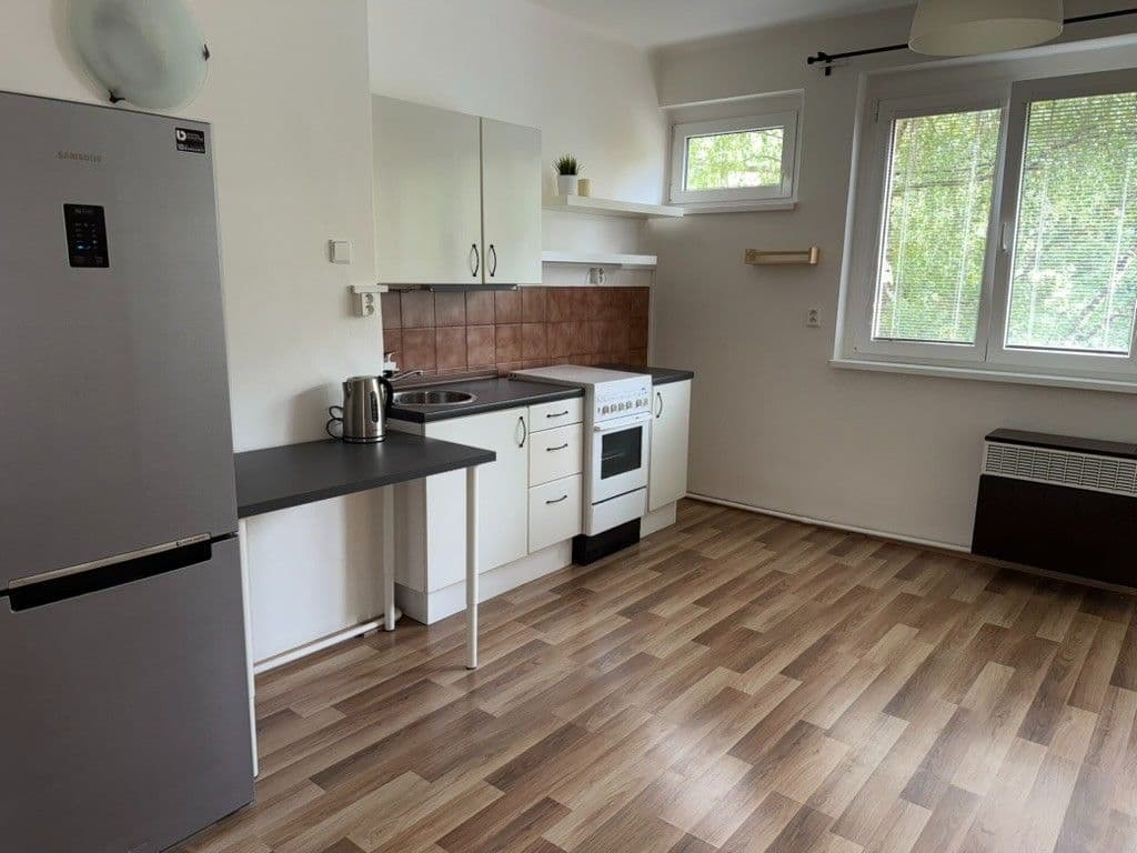 1 bedroom with open-plan kitchen flat to rent, 40 m², Humpolecká, Prague, Prague 1 bedroom with open-plan kitchen flat to rent, 40 m², Humpolecká, Prague, Prague