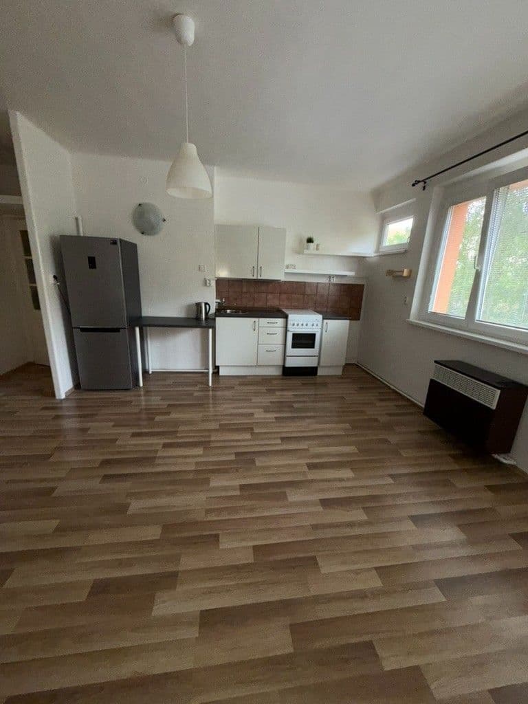 1 bedroom with open-plan kitchen flat to rent, 40 m², Humpolecká, Prague, Prague 1 bedroom with open-plan kitchen flat to rent, 40 m², Humpolecká, Prague, Prague