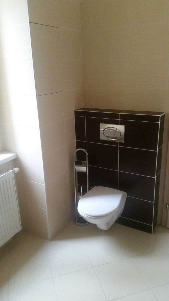 1 bedroom with open-plan kitchen flat to rent, 60 m², Mikovcova, Prague, Prague 1 bedroom with open-plan kitchen flat to rent, 60 m², Mikovcova, Prague, Prague