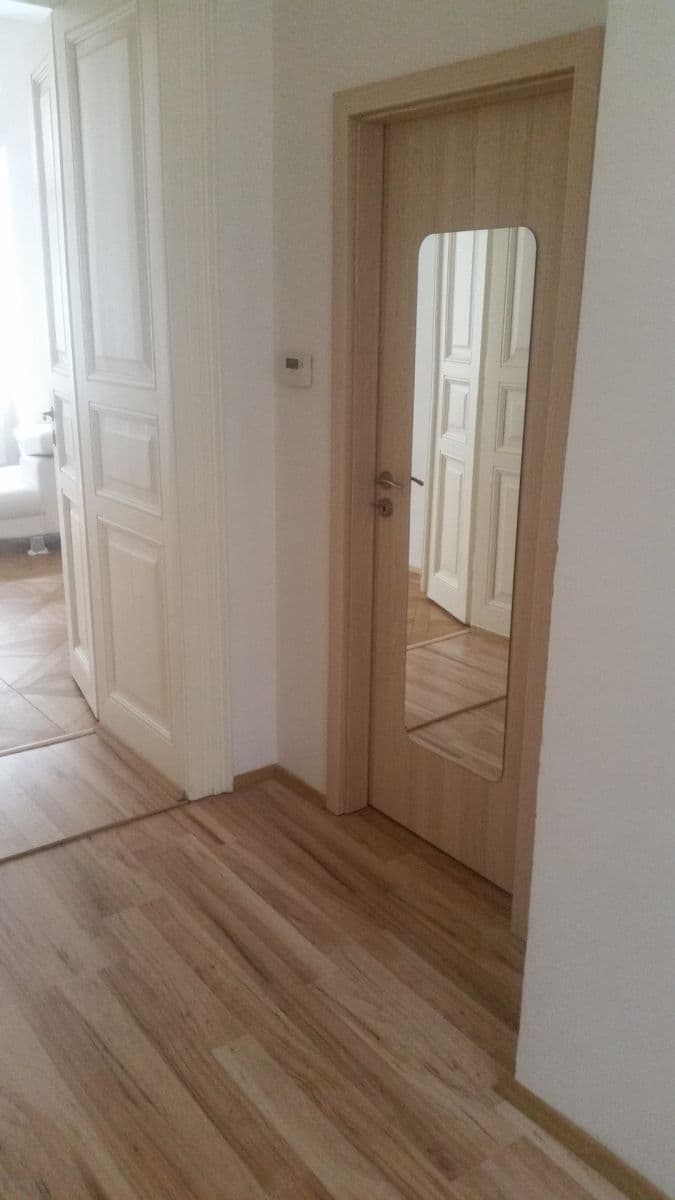1 bedroom with open-plan kitchen flat to rent, 60 m², Mikovcova, Prague, Prague 1 bedroom with open-plan kitchen flat to rent, 60 m², Mikovcova, Prague, Prague