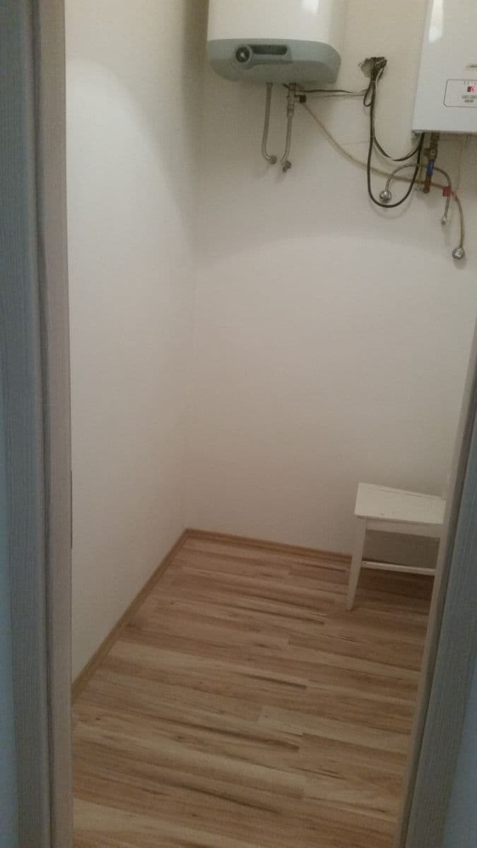 1 bedroom with open-plan kitchen flat to rent, 60 m², Mikovcova, Prague, Prague 1 bedroom with open-plan kitchen flat to rent, 60 m², Mikovcova, Prague, Prague