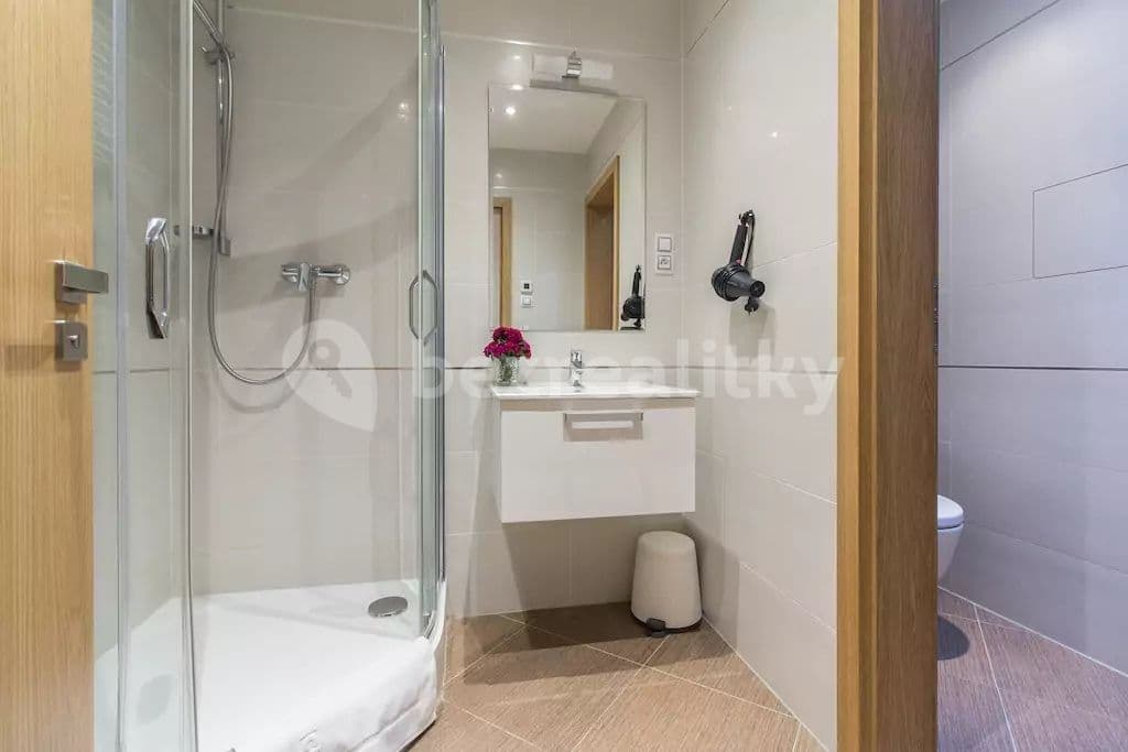 Studio flat to rent, 57 m², Olšanská, Prague, Prague Studio flat to rent, 57 m², Olšanská, Prague, Prague