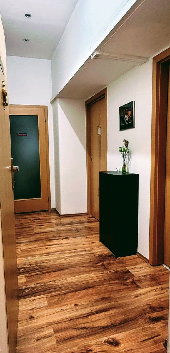 1 bedroom with open-plan kitchen flat to rent, 54 m², Argentinská, Prague, Prague 1 bedroom with open-plan kitchen flat to rent, 54 m², Argentinská, Prague, Prague