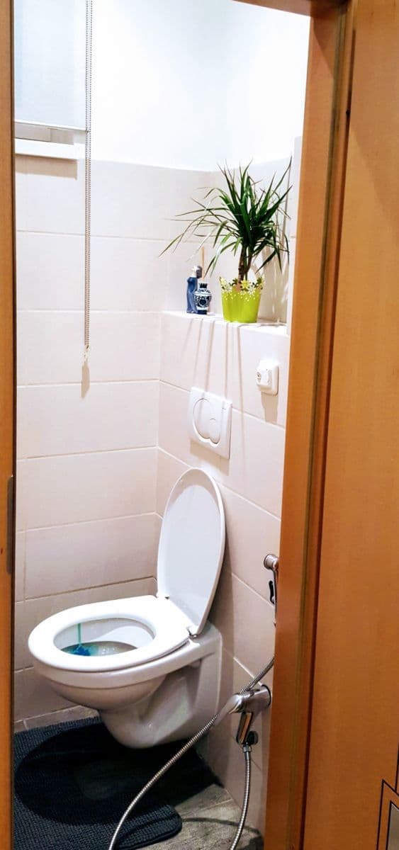 1 bedroom with open-plan kitchen flat to rent, 54 m², Argentinská, Prague, Prague 1 bedroom with open-plan kitchen flat to rent, 54 m², Argentinská, Prague, Prague