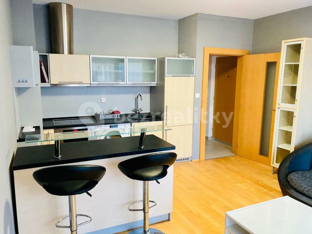 1 bedroom with open-plan kitchen flat to rent, 59 m², K Lesu, Prague, Prague 1 bedroom with open-plan kitchen flat to rent, 59 m², K Lesu, Prague, Prague