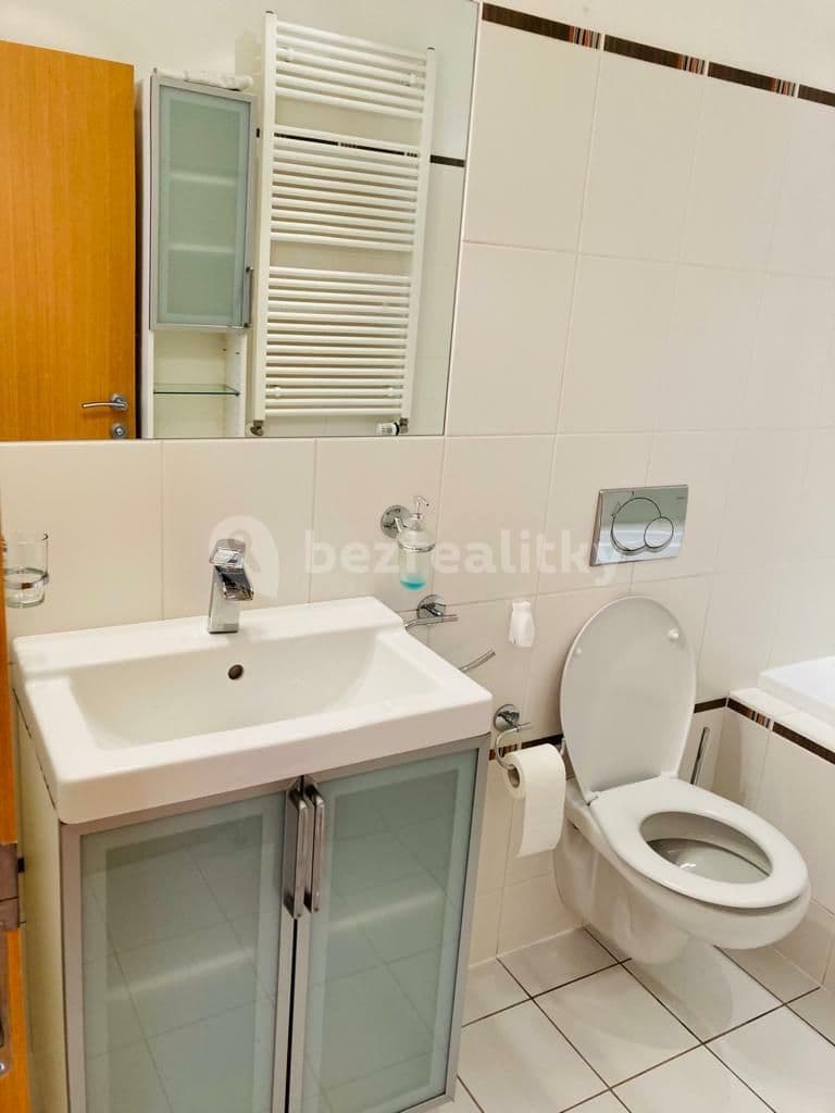 1 bedroom with open-plan kitchen flat to rent, 59 m², K Lesu, Prague, Prague 1 bedroom with open-plan kitchen flat to rent, 59 m², K Lesu, Prague, Prague