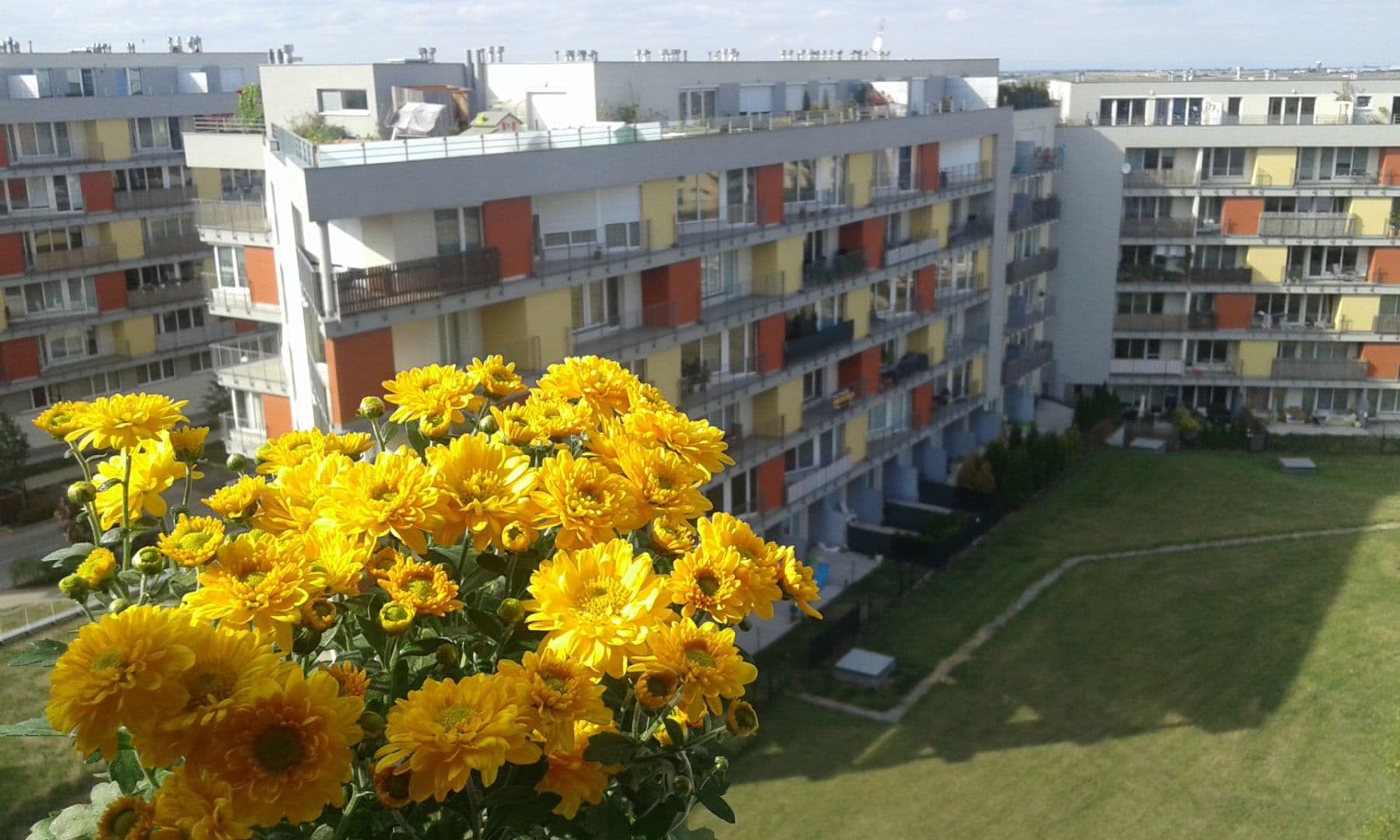 Studio flat to rent, 32 m², Míšovická, Prague, Prague Studio flat to rent, 32 m², Míšovická, Prague, Prague