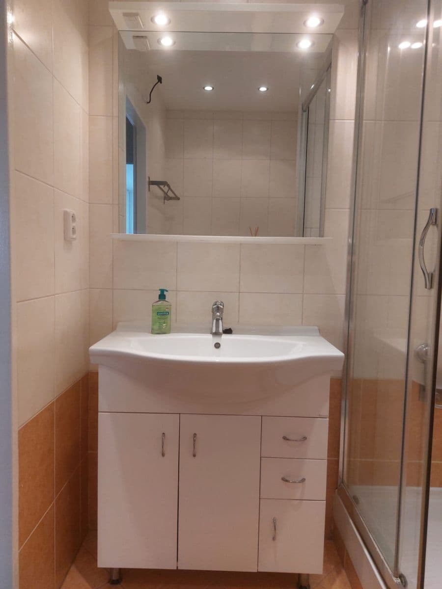 1 bedroom with open-plan kitchen flat to rent, 40 m², Leopoldova, Prague, Prague 1 bedroom with open-plan kitchen flat to rent, 40 m², Leopoldova, Prague, Prague
