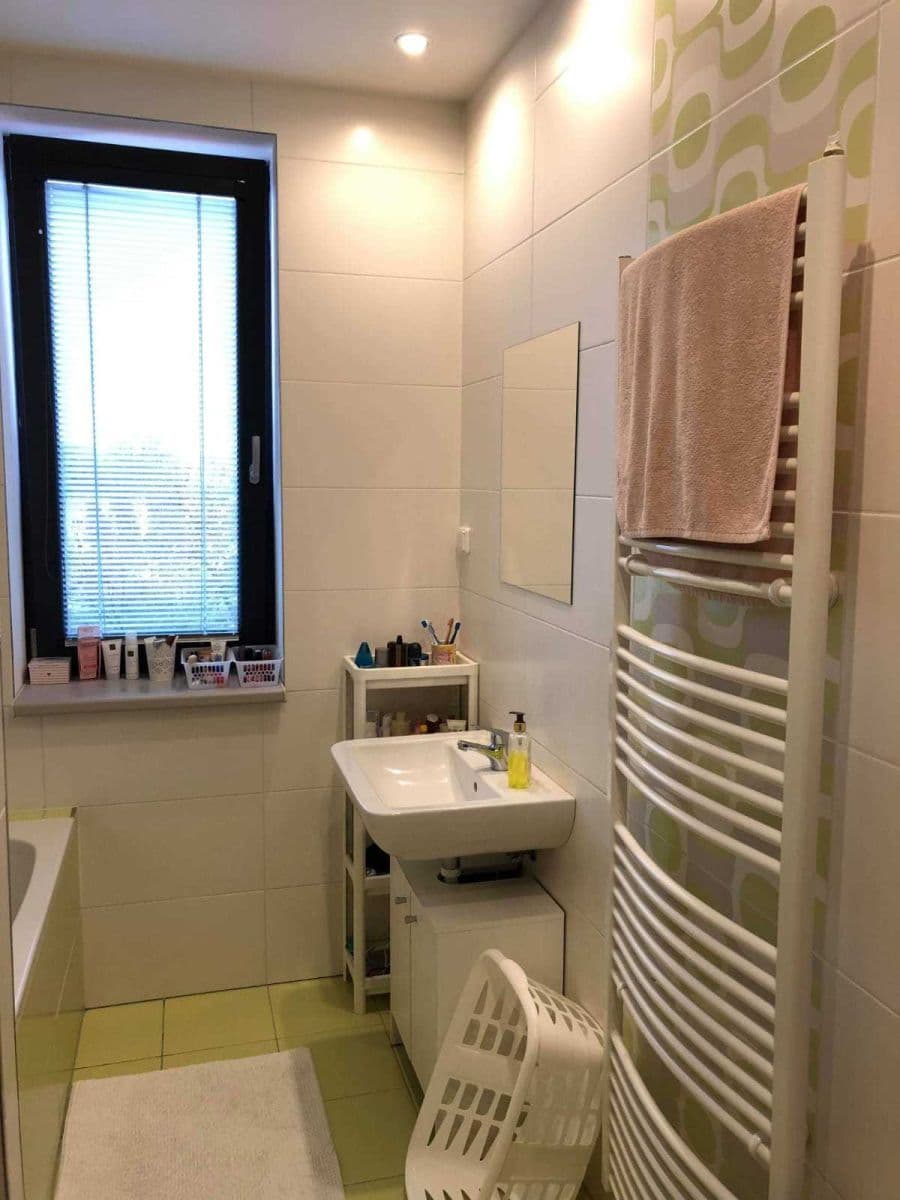 1 bedroom with open-plan kitchen flat to rent, 50 m², Lipůvka, Jihomoravský Region 1 bedroom with open-plan kitchen flat to rent, 50 m², Lipůvka, Jihomoravský Region