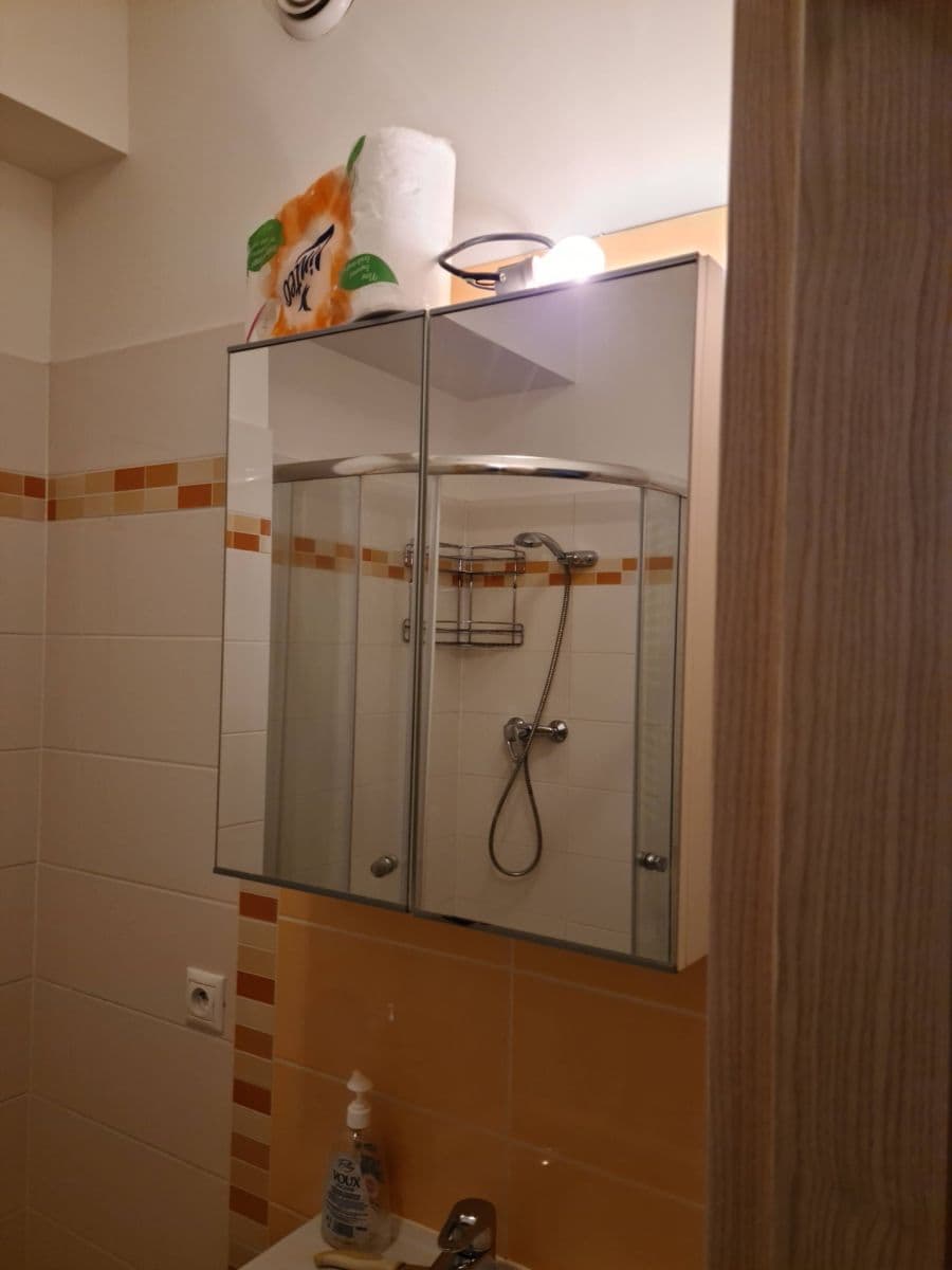 Studio flat to rent, 33 m², Freyova, Prague, Prague Studio flat to rent, 33 m², Freyova, Prague, Prague