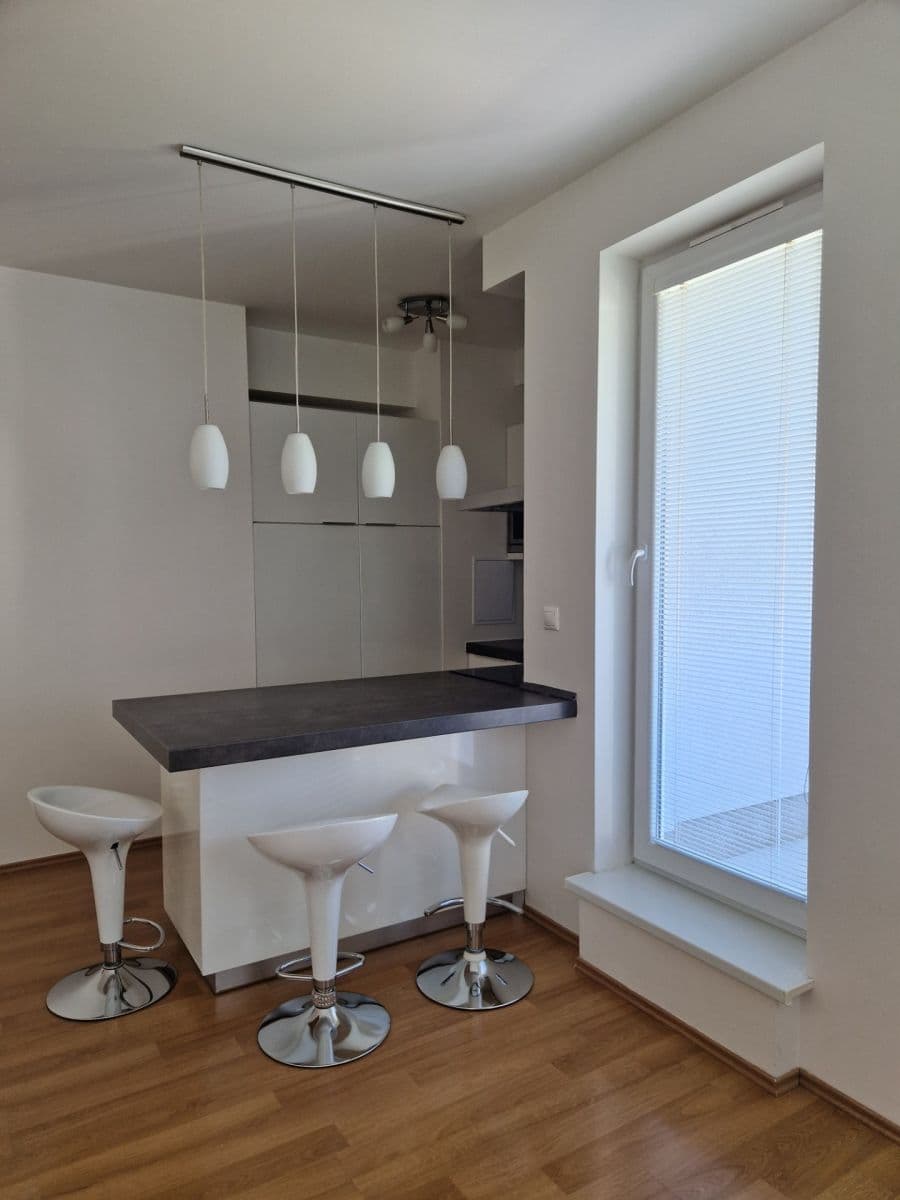 1 bedroom with open-plan kitchen flat to rent, 50 m², Václava Trojana, Prague, Prague 1 bedroom with open-plan kitchen flat to rent, 50 m², Václava Trojana, Prague, Prague
