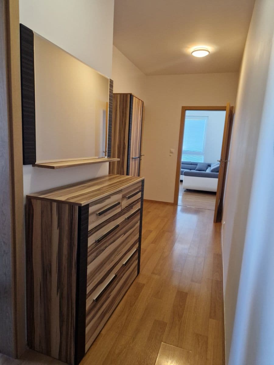 1 bedroom with open-plan kitchen flat to rent, 50 m², Václava Trojana, Prague, Prague 1 bedroom with open-plan kitchen flat to rent, 50 m², Václava Trojana, Prague, Prague