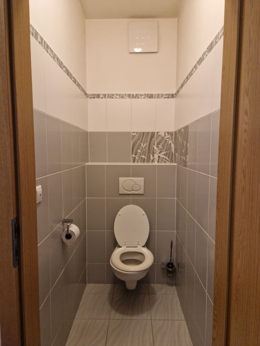 1 bedroom with open-plan kitchen flat to rent, 50 m², Václava Trojana, Prague, Prague 1 bedroom with open-plan kitchen flat to rent, 50 m², Václava Trojana, Prague, Prague