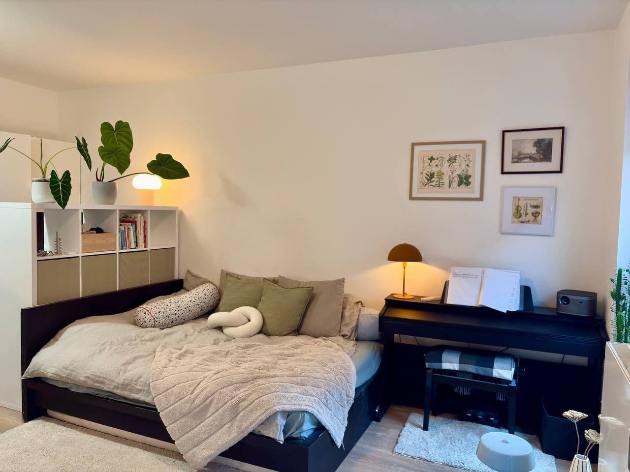 Studio flat to rent, 31 m², Koněvova, Prague, Prague Studio flat to rent, 31 m², Koněvova, Prague, Prague