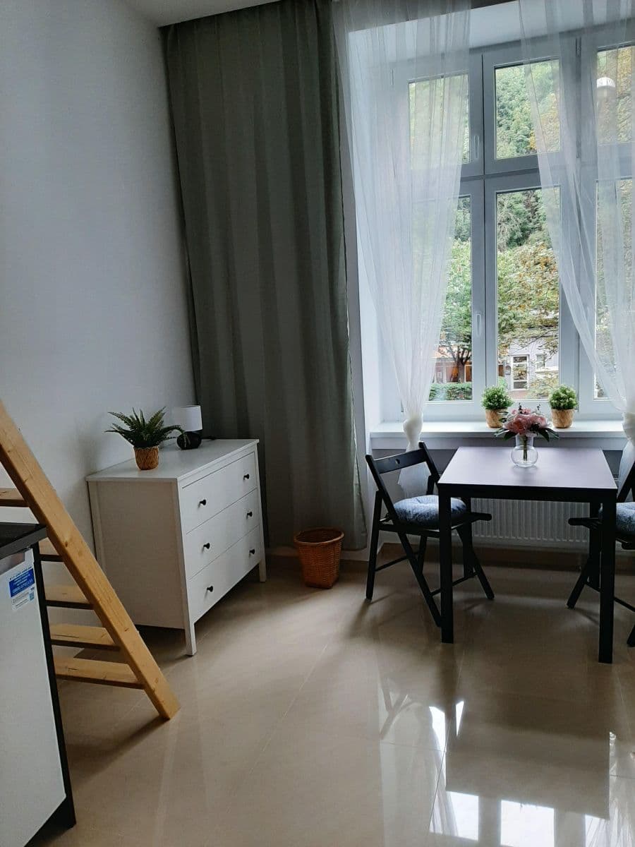 Small studio flat to rent, 25 m², Nuselská, Prague, Prague Small studio flat to rent, 25 m², Nuselská, Prague, Prague