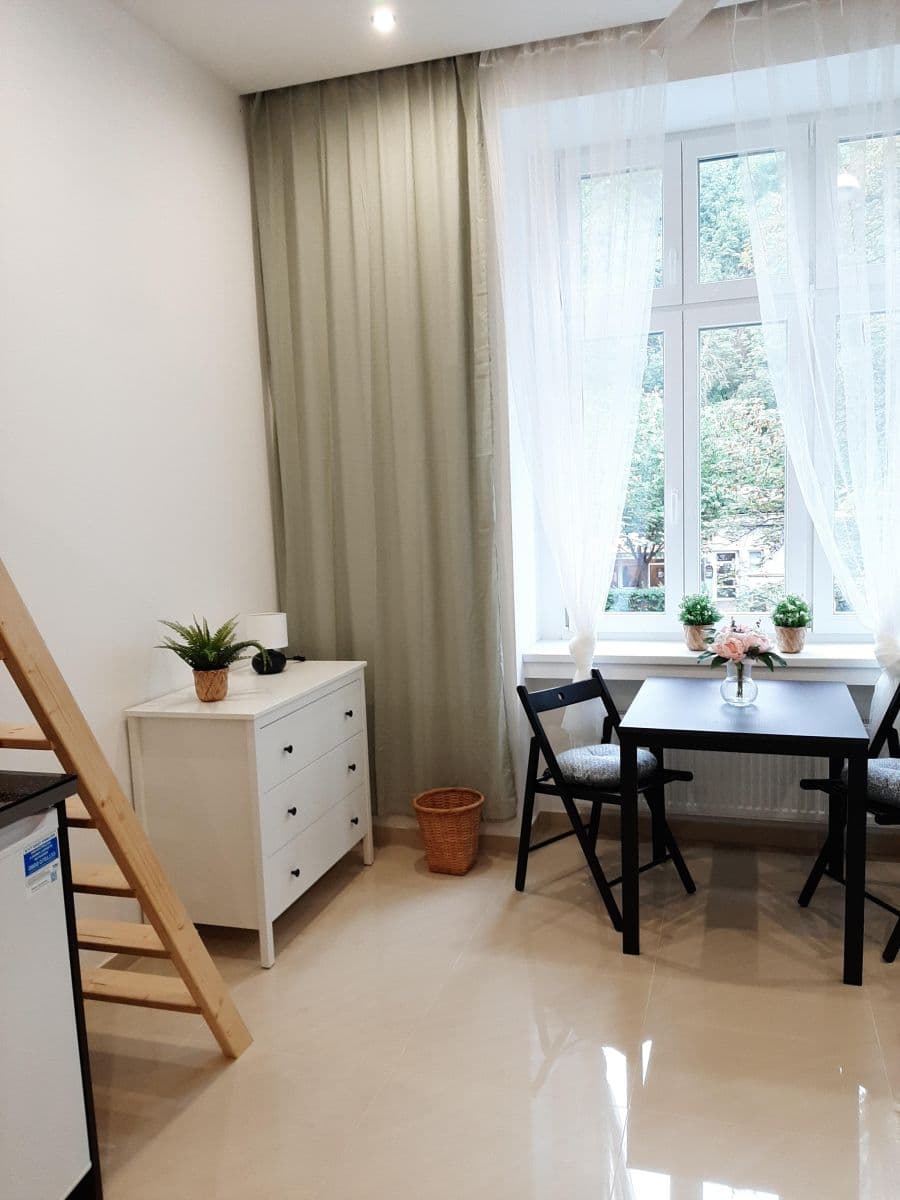 Small studio flat to rent, 25 m², Nuselská, Prague, Prague Small studio flat to rent, 25 m², Nuselská, Prague, Prague