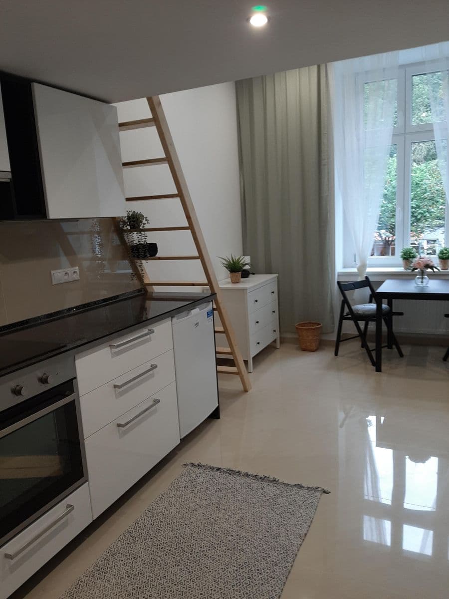 Small studio flat to rent, 25 m², Nuselská, Prague, Prague Small studio flat to rent, 25 m², Nuselská, Prague, Prague