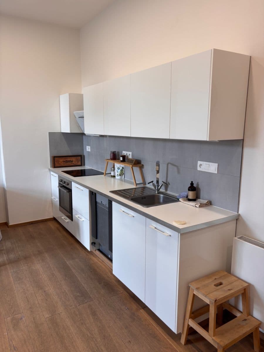 1 bedroom with open-plan kitchen flat to rent, 49 m², Ibsenova, Prague, Prague 1 bedroom with open-plan kitchen flat to rent, 49 m², Ibsenova, Prague, Prague