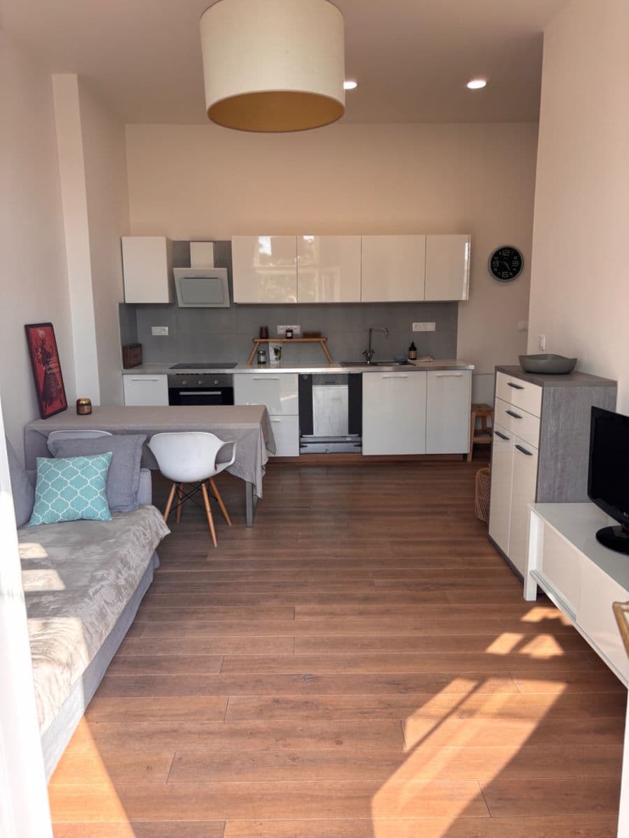 1 bedroom with open-plan kitchen flat to rent, 49 m², Ibsenova, Prague, Prague 1 bedroom with open-plan kitchen flat to rent, 49 m², Ibsenova, Prague, Prague