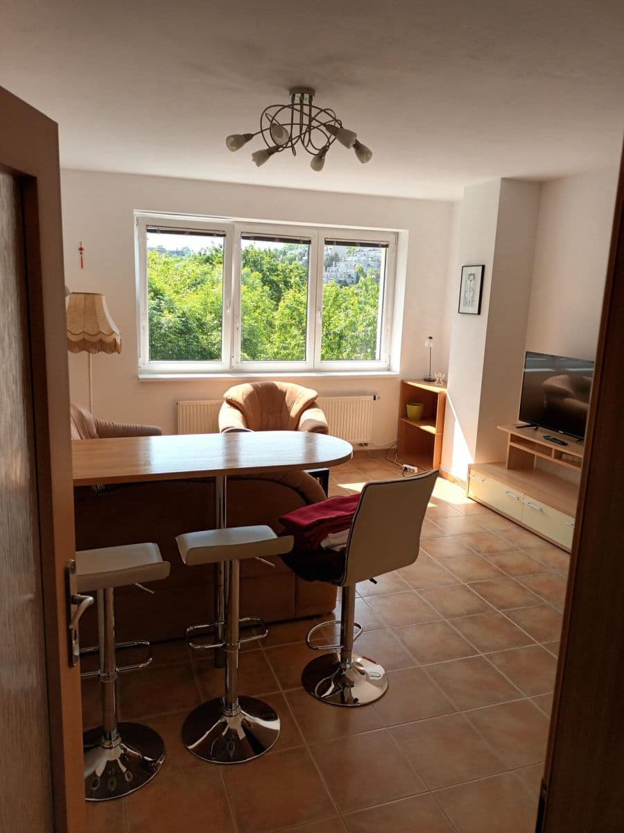 1 bedroom with open-plan kitchen flat to rent, 51 m², Černochova, Prague, Prague 1 bedroom with open-plan kitchen flat to rent, 51 m², Černochova, Prague, Prague