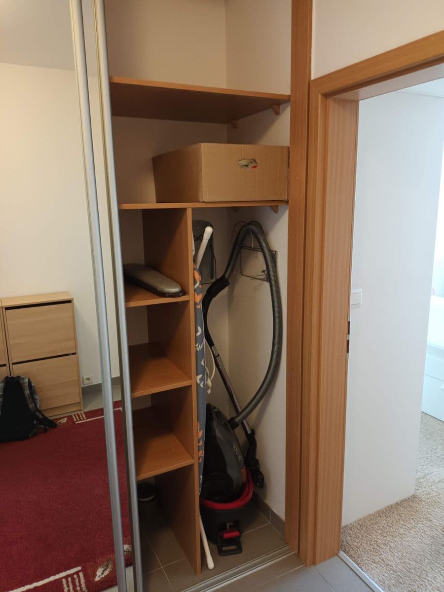 1 bedroom with open-plan kitchen flat to rent, 51 m², Černochova, Prague, Prague 1 bedroom with open-plan kitchen flat to rent, 51 m², Černochova, Prague, Prague