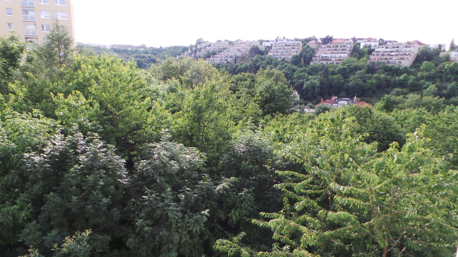 1 bedroom with open-plan kitchen flat to rent, 51 m², Černochova, Prague, Prague 1 bedroom with open-plan kitchen flat to rent, 51 m², Černochova, Prague, Prague