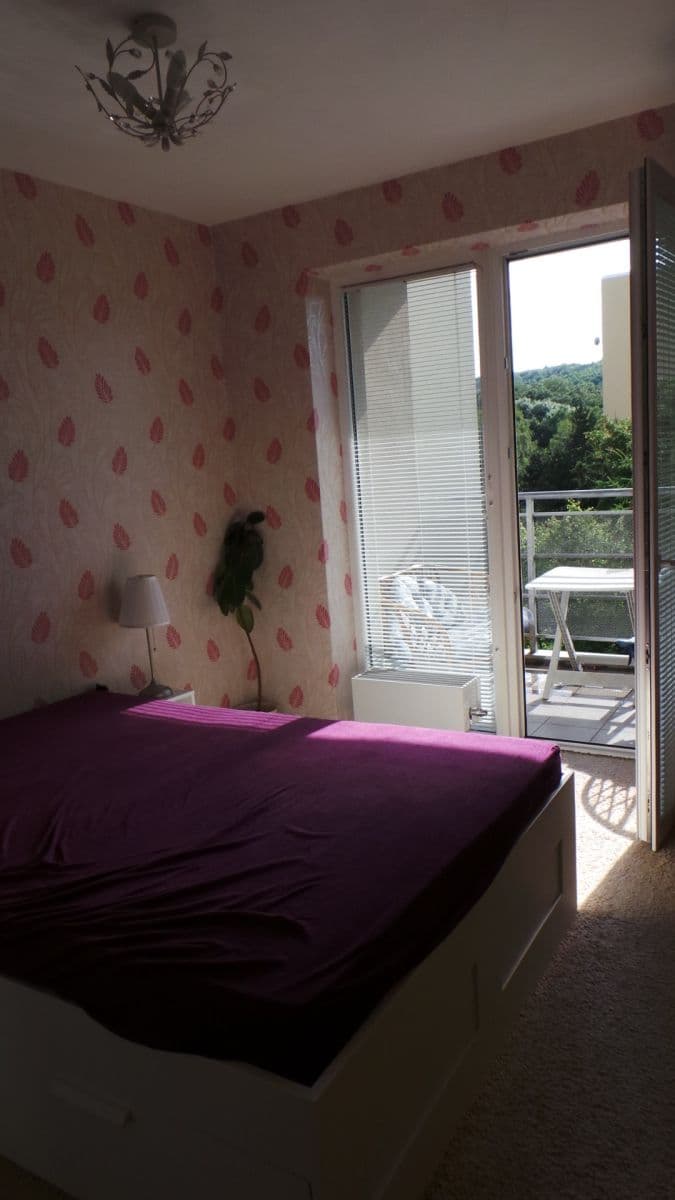 1 bedroom with open-plan kitchen flat to rent, 51 m², Černochova, Prague, Prague 1 bedroom with open-plan kitchen flat to rent, 51 m², Černochova, Prague, Prague