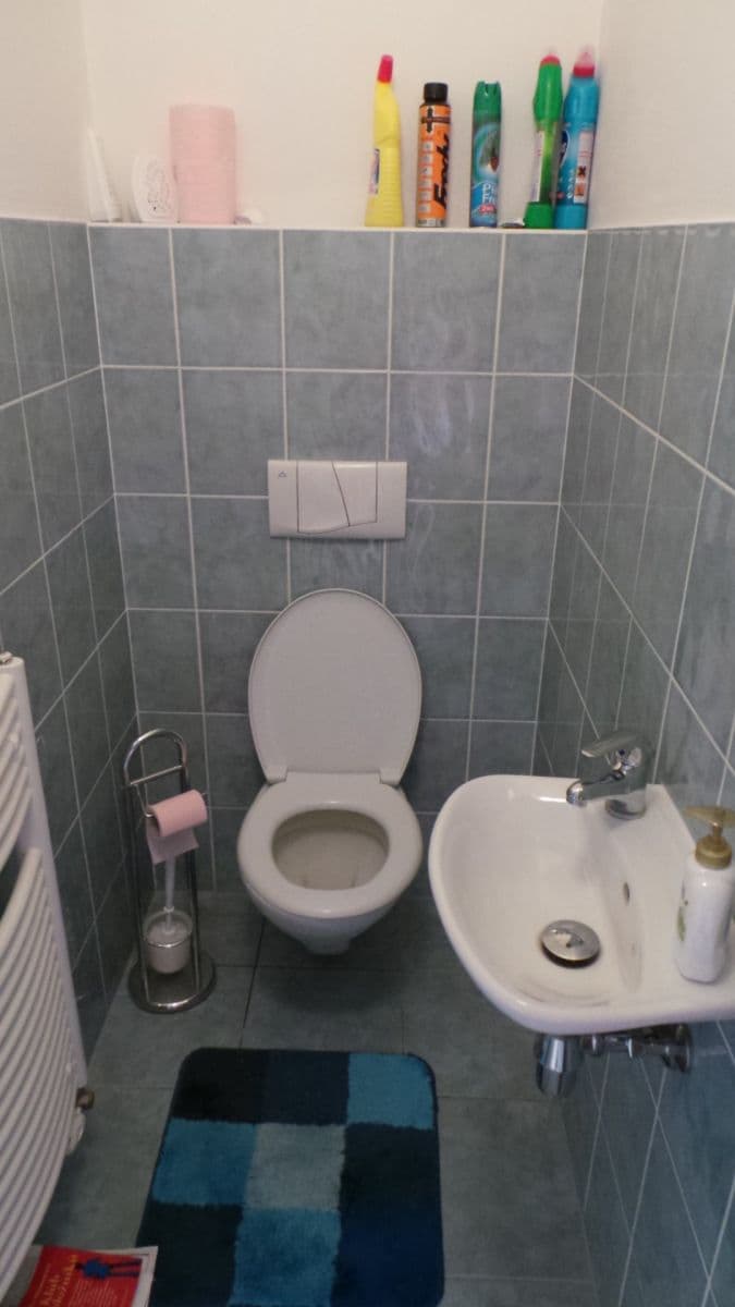 1 bedroom with open-plan kitchen flat to rent, 51 m², Černochova, Prague, Prague 1 bedroom with open-plan kitchen flat to rent, 51 m², Černochova, Prague, Prague