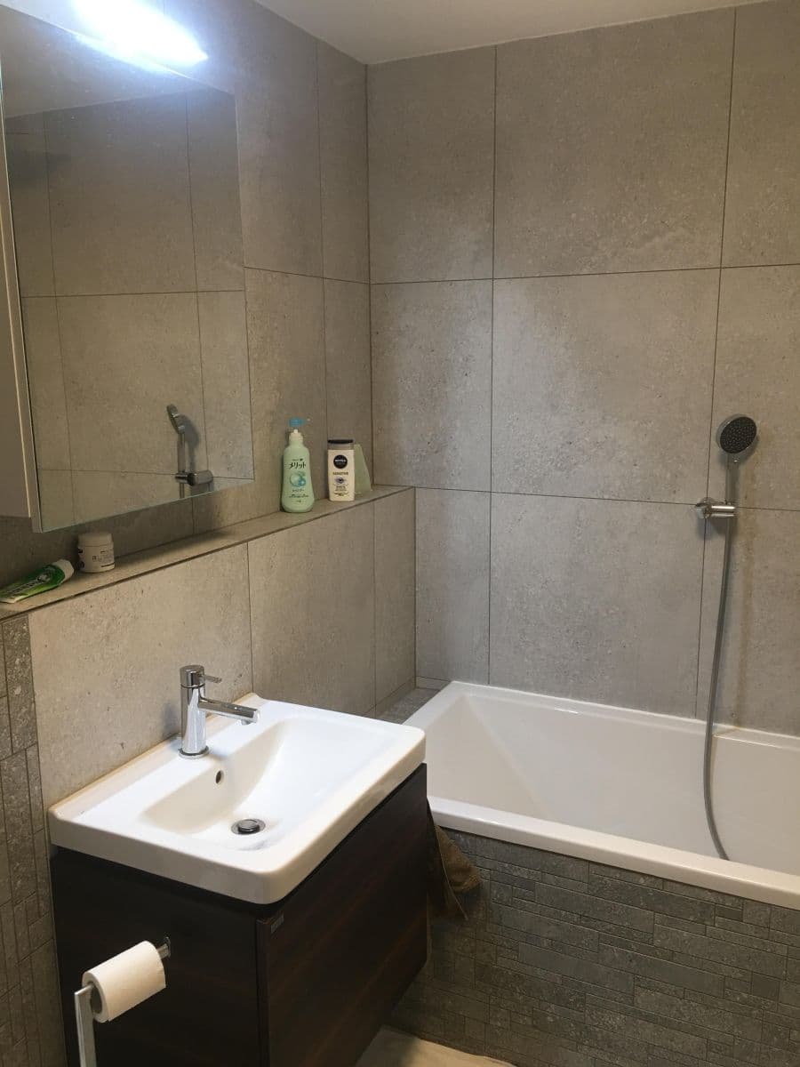 1 bedroom with open-plan kitchen flat to rent, 49 m², Adamova, Prague, Prague 1 bedroom with open-plan kitchen flat to rent, 49 m², Adamova, Prague, Prague