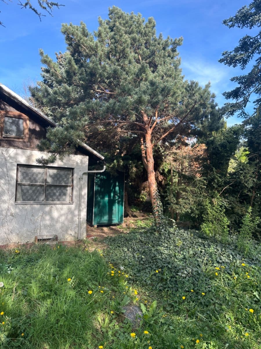 recreational property to rent, 500 m², Zlatnice, Prague, Prague recreational property to rent, 500 m², Zlatnice, Prague, Prague