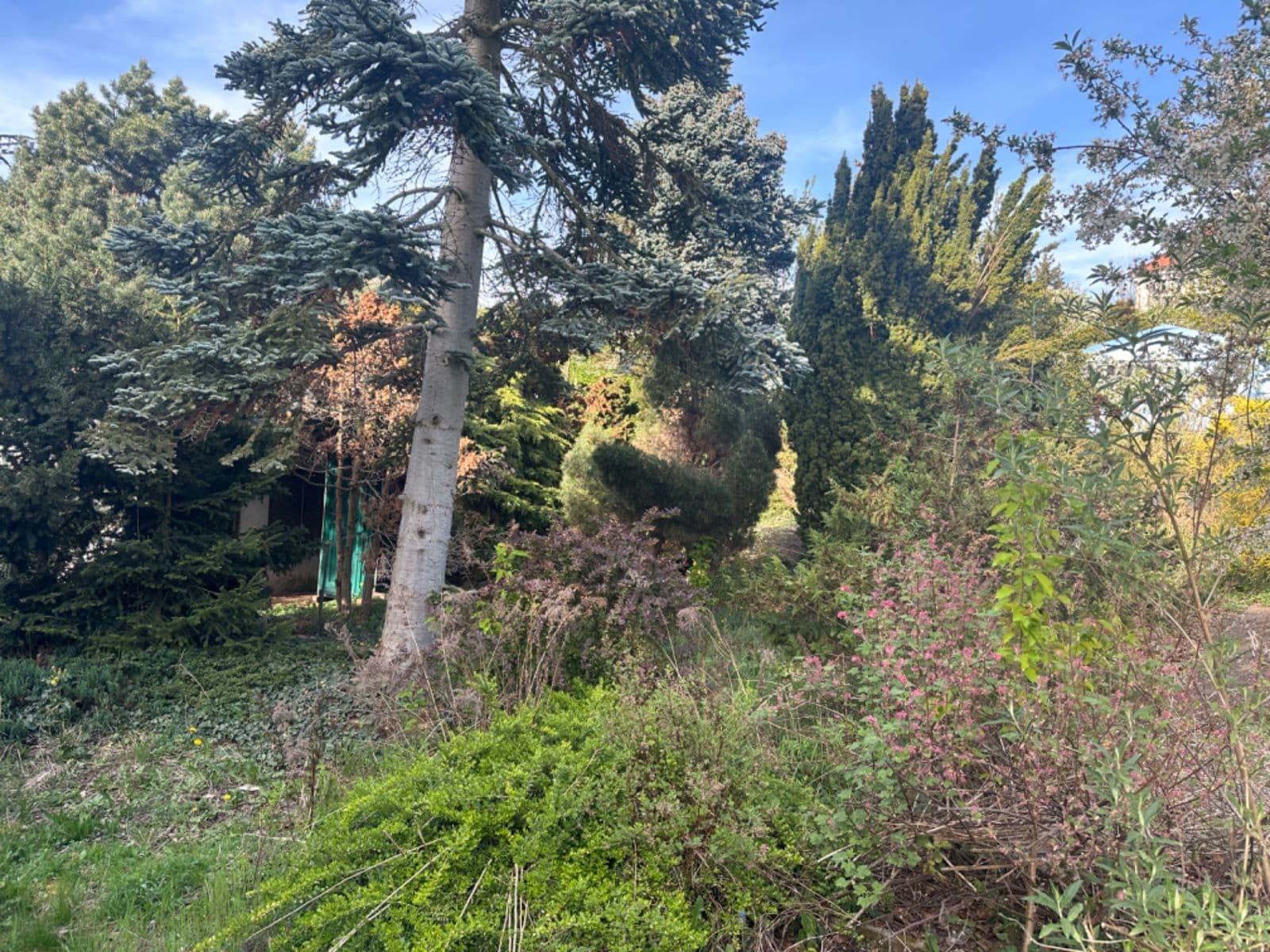 recreational property to rent, 500 m², Zlatnice, Prague, Prague recreational property to rent, 500 m², Zlatnice, Prague, Prague