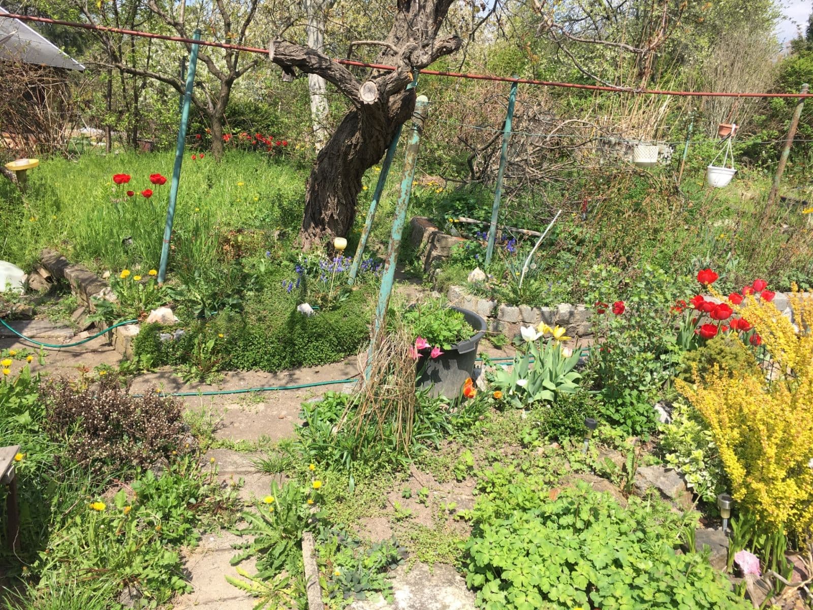 recreational property to rent, 500 m², Zlatnice, Prague, Prague recreational property to rent, 500 m², Zlatnice, Prague, Prague