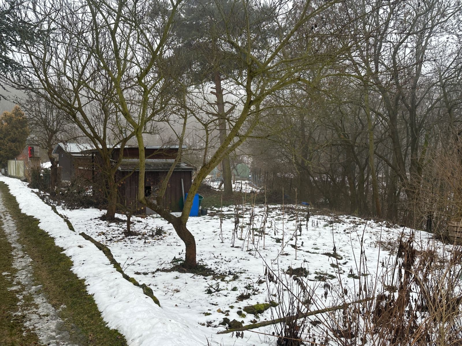 recreational property to rent, 500 m², Zlatnice, Prague, Prague recreational property to rent, 500 m², Zlatnice, Prague, Prague