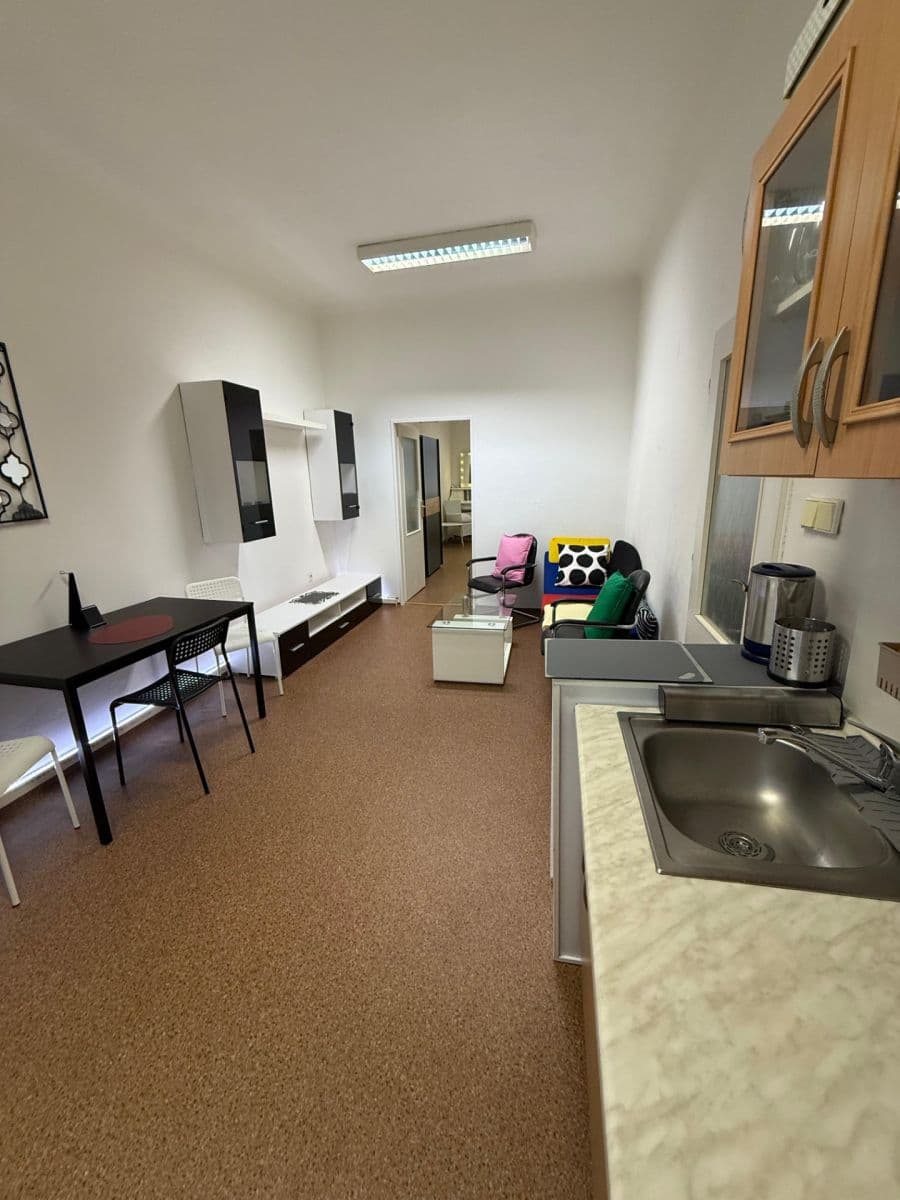 1 bedroom with open-plan kitchen flat to rent, 70 m², Koterovská, Plzeň, Plzeňský Region 1 bedroom with open-plan kitchen flat to rent, 70 m², Koterovská, Plzeň, Plzeňský Region