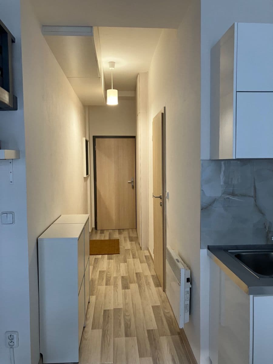 Studio flat to rent, 33 m², Bubenská, Prague, Prague Studio flat to rent, 33 m², Bubenská, Prague, Prague