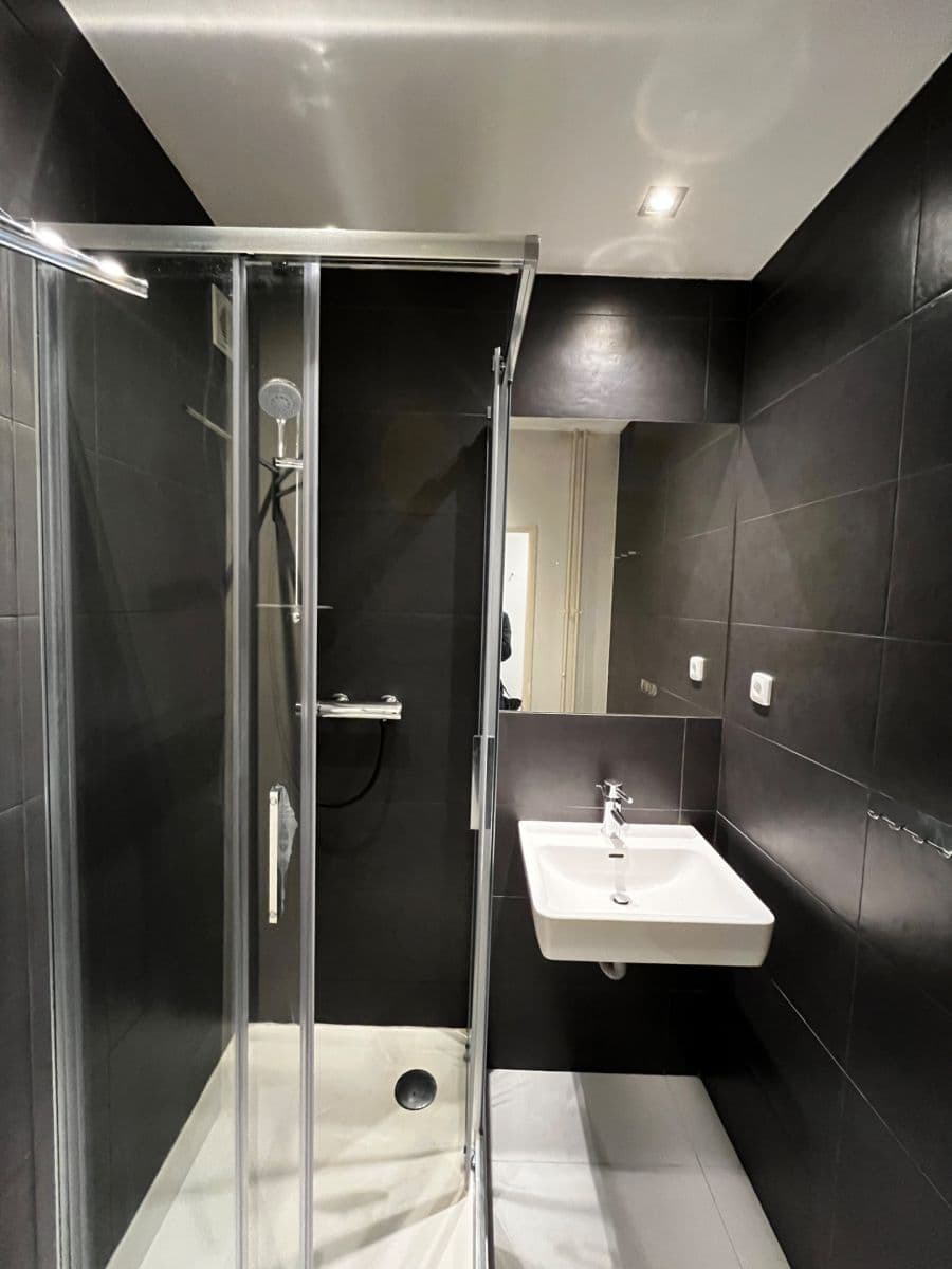 1 bedroom with open-plan kitchen flat to rent, 58 m², Nad Primaskou, Prague, Prague 1 bedroom with open-plan kitchen flat to rent, 58 m², Nad Primaskou, Prague, Prague