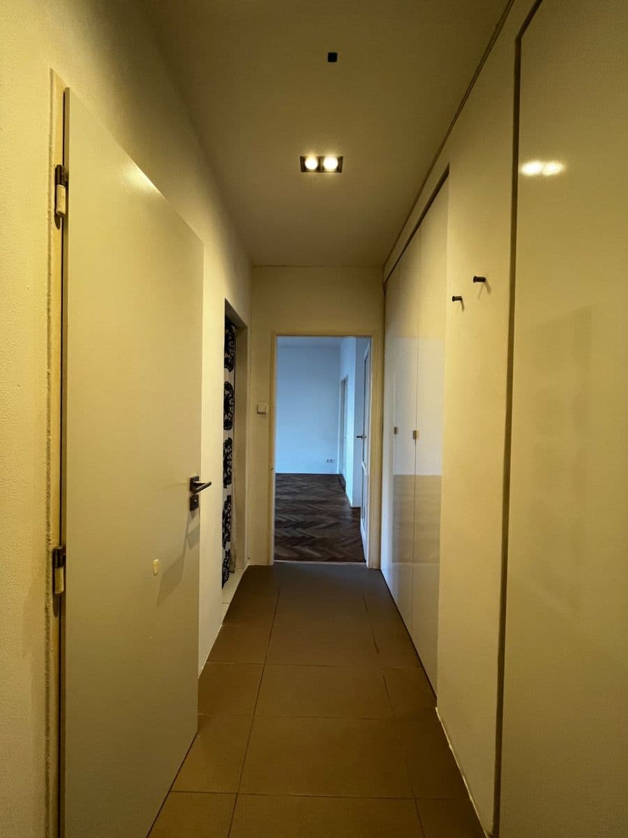 1 bedroom with open-plan kitchen flat to rent, 58 m², Nad Primaskou, Prague, Prague 1 bedroom with open-plan kitchen flat to rent, 58 m², Nad Primaskou, Prague, Prague