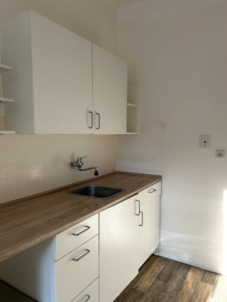 1 bedroom with open-plan kitchen flat to rent, 51 m², Za Vokovickou Vozovnou, Prague, Prague 1 bedroom with open-plan kitchen flat to rent, 51 m², Za Vokovickou Vozovnou, Prague, Prague