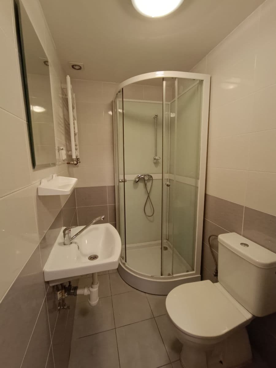 1 bedroom with open-plan kitchen flat to rent, 36 m², Milady Horákové, Brno, Jihomoravský Region 1 bedroom with open-plan kitchen flat to rent, 36 m², Milady Horákové, Brno, Jihomoravský Region