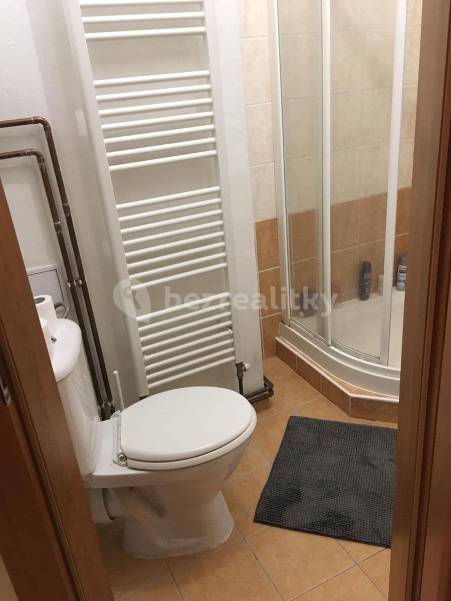 1 bedroom flat to rent, 45 m², Starodružiníků, Olomouc, Olomoucký Region 1 bedroom flat to rent, 45 m², Starodružiníků, Olomouc, Olomoucký Region