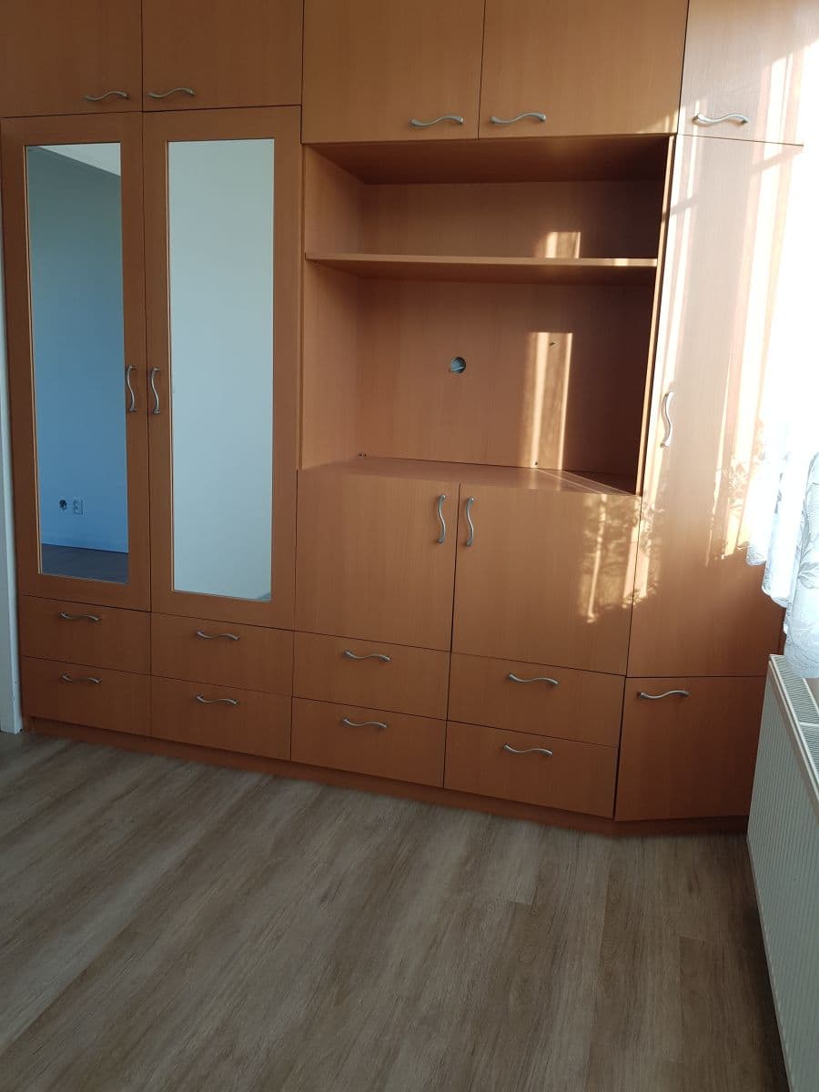 1 bedroom with open-plan kitchen flat to rent, 42 m², Hnězdenská, Prague, Prague 1 bedroom with open-plan kitchen flat to rent, 42 m², Hnězdenská, Prague, Prague