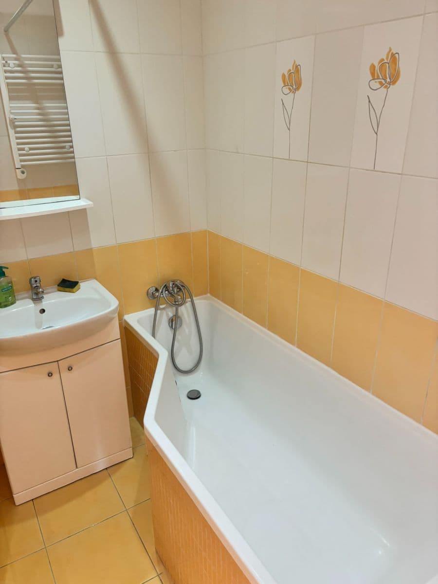 1 bedroom flat to rent, 32 m², Brodského, Prague, Prague 1 bedroom flat to rent, 32 m², Brodského, Prague, Prague
