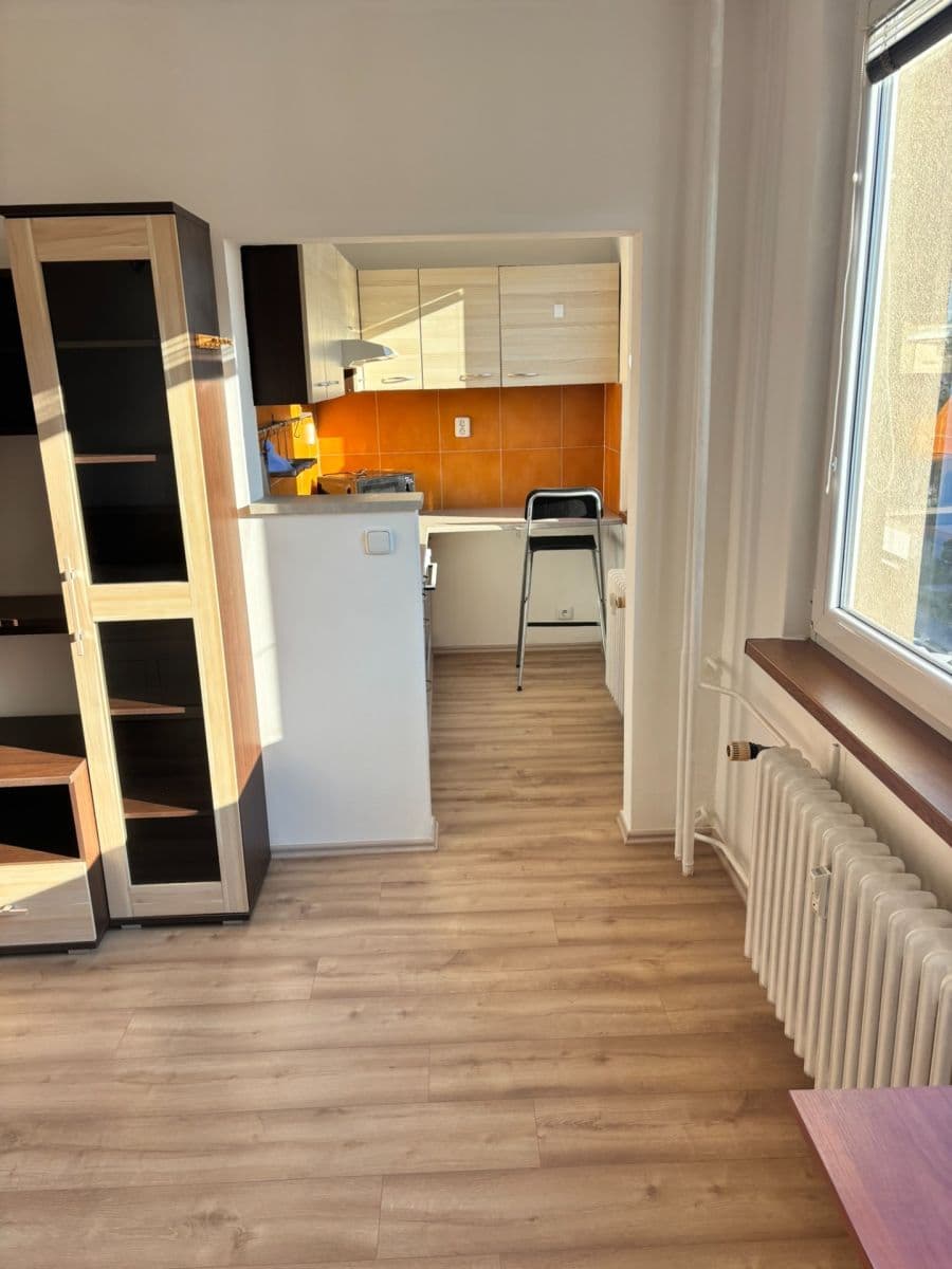 1 bedroom flat to rent, 32 m², Brodského, Prague, Prague 1 bedroom flat to rent, 32 m², Brodského, Prague, Prague