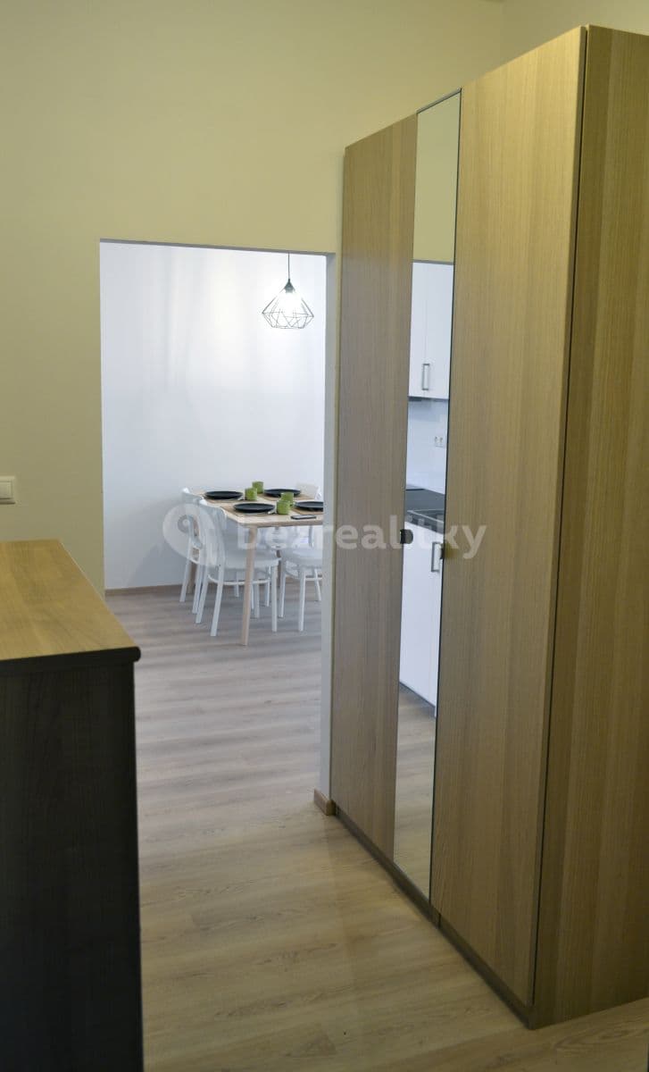 1 bedroom with open-plan kitchen flat to rent, 49 m², Březinova, Prague, Prague 1 bedroom with open-plan kitchen flat to rent, 49 m², Březinova, Prague, Prague